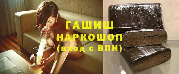 стаф Щёлкино