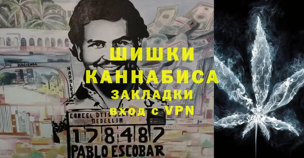 МДПВ Заводоуковск