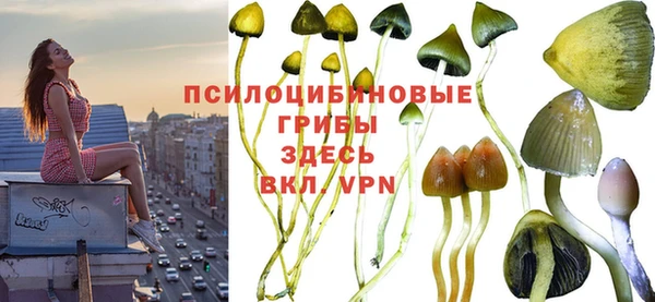 МДПВ Заводоуковск