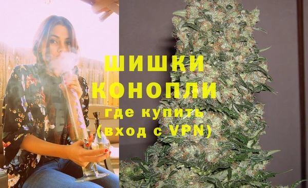 МДПВ Заводоуковск