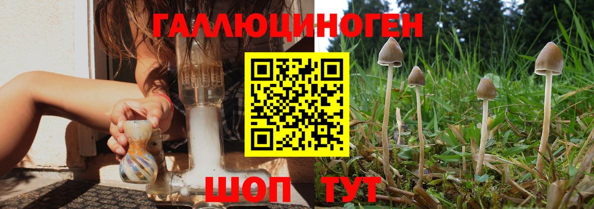 Галлюциногенные грибы мицелий Нефтекамск