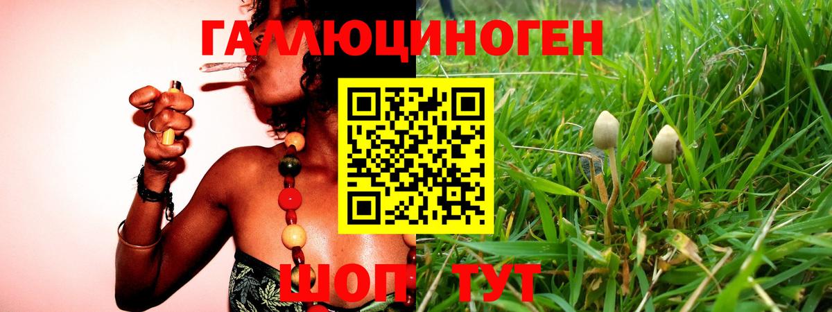 Галлюциногенные грибы Psilocybe  Вход с VPN  Нефтекамск 